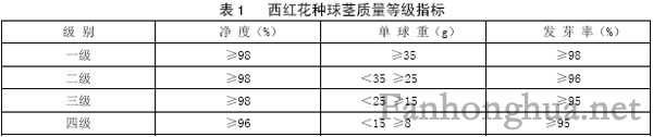 无公害中药材西红花的浙江省地方标准 第2部分 种球茎