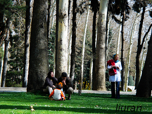 逛公園的伊朗人