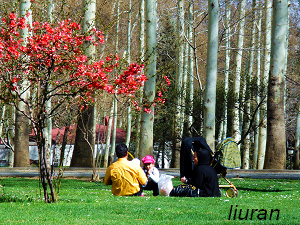 坐在公園草地上的伊朗人